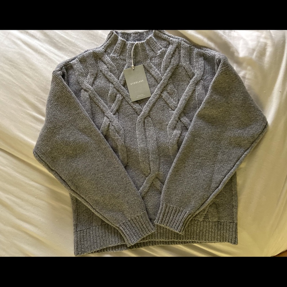 Everlane Wool Mockneck Sweater